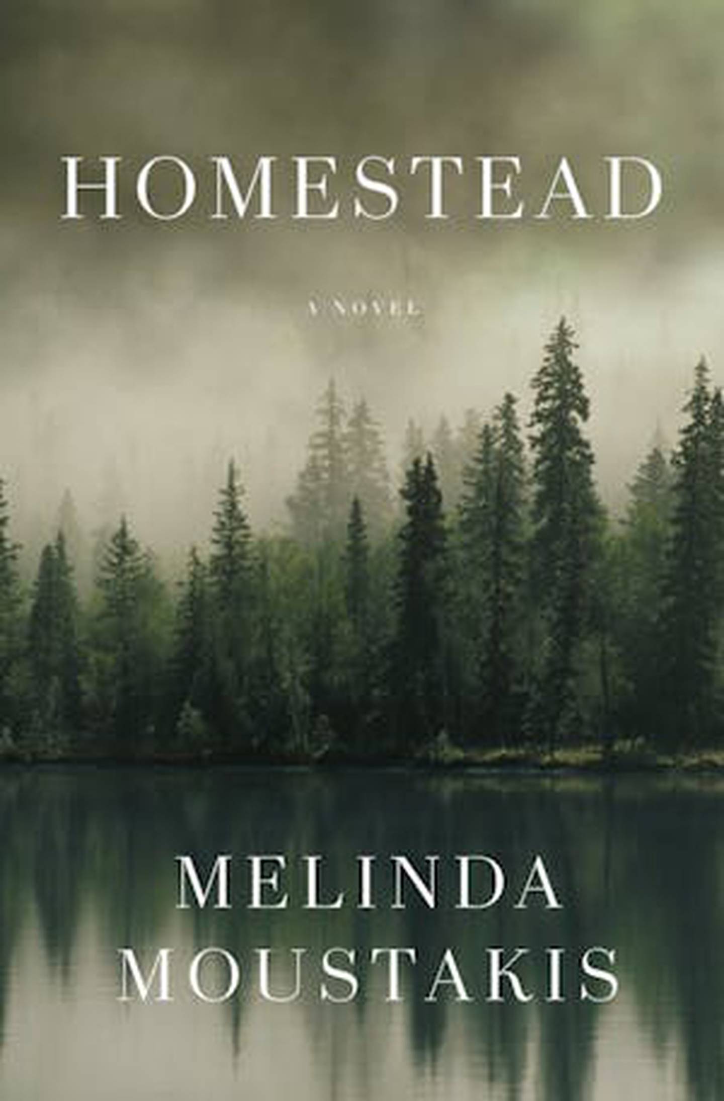 “Homestead,” by Melinda Moustakis