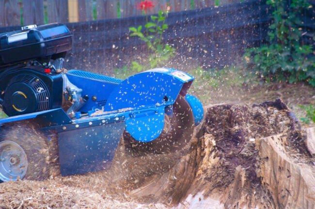 iStock-1357950335 save money gardening Stump Grinder at Work