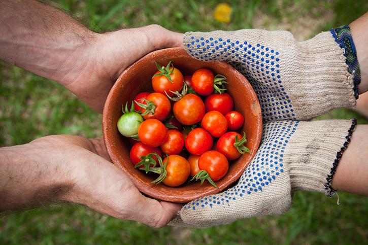 Apartment Balcony Vegetable Garden Ideas