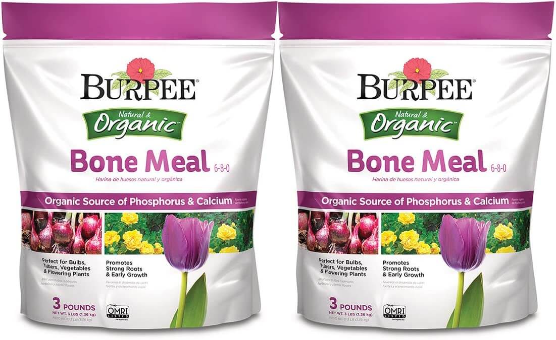 Burpee Bone Meal Fertilizer