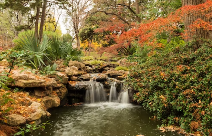 Japanese Garden