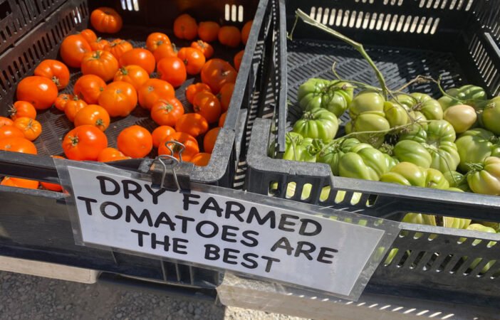 A photo of dry farmed tomatoes sitting in crates at a farmers market.