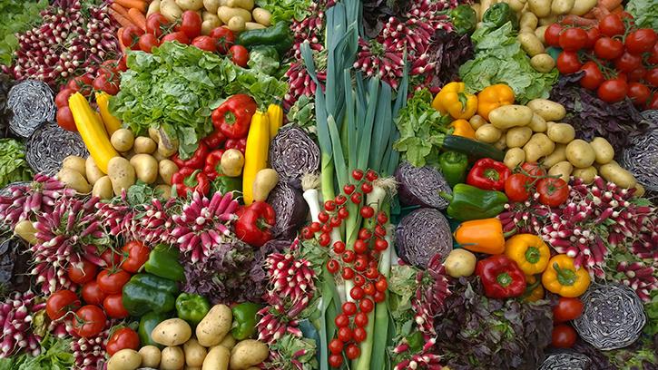 Vegetable Gardening