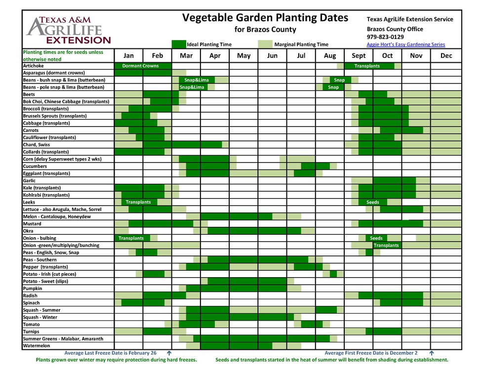 Vegetable Garden Planting Dates