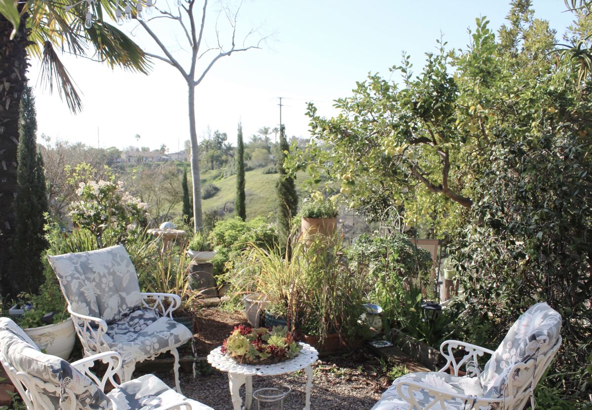 Garden seating in a backyard offers canyon views on the Clairemont Outdoor Living and Garden Tour.