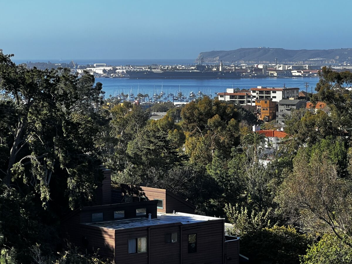 "Forever views" from Bankers Hill add to the charm of the San Diego Floral Association Garden Tour.