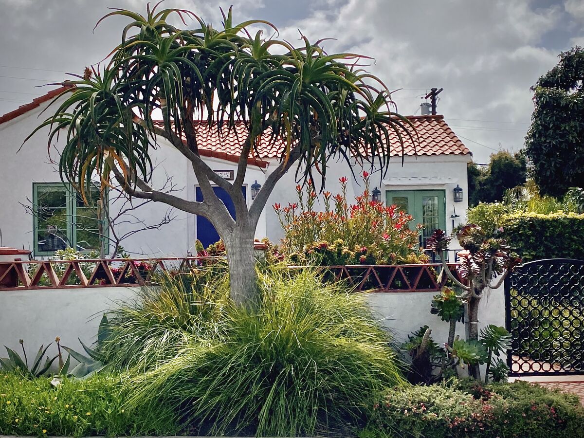 A front-yard refresh of a 1930s Spanish revival bungalow.