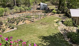 View from above of raised beds in Pamela A. Keene's backyard garden.