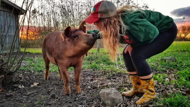 Rachel interacts with a pig on the farm. The couple raises many animals.