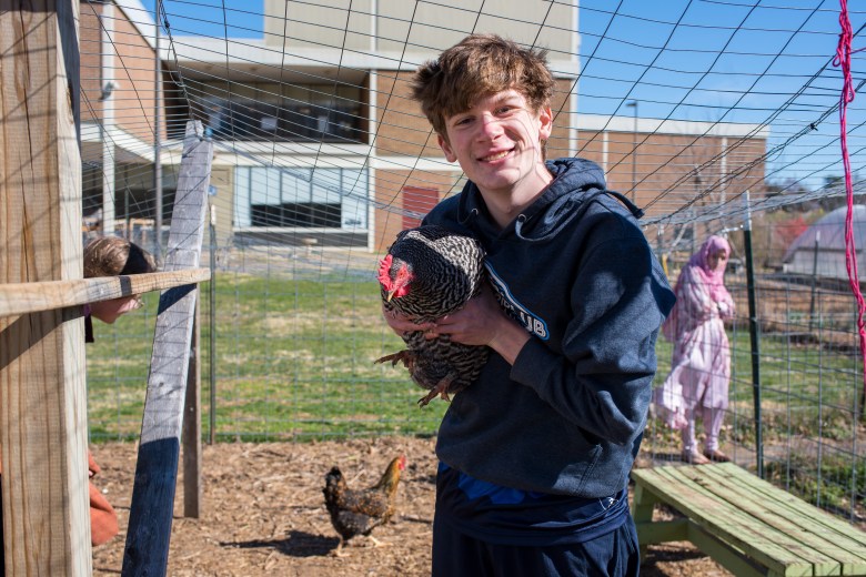 A young man in a blue hoodie holds a brown chicken, with wire fencing around him. Behind him is another chicken on the ground, a wooden bench and a young woman in a pink salwar kameez.