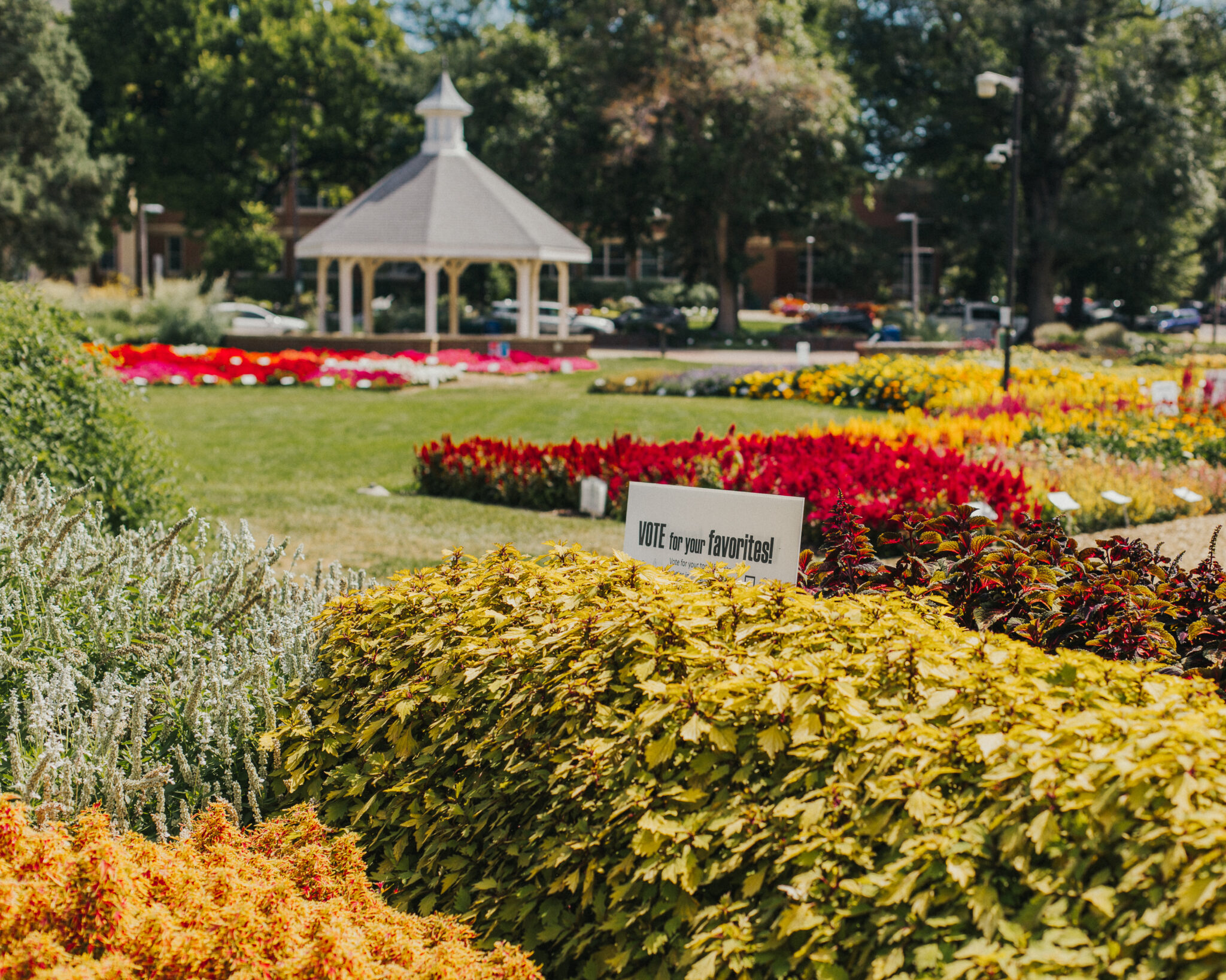 The CSU Trial Gardens in full bloom.