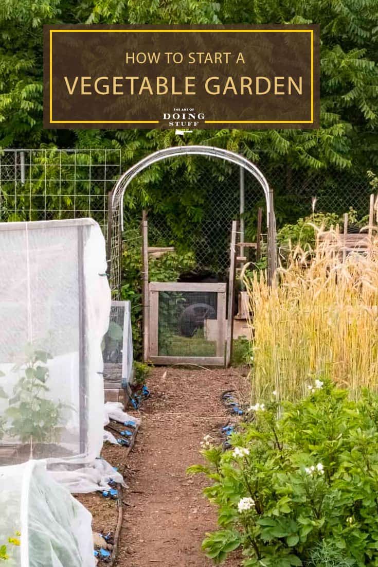 Unlocking the Secrets: Part 1 of Starting a Productive Vegetable Garden