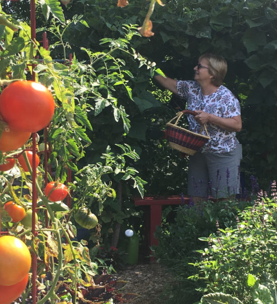 Nyack Community Garden