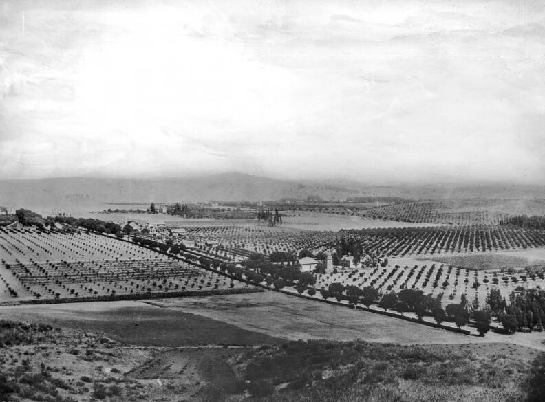 Photograph in panorama of East Hollywood from Laughlin Park, California, 1901. Crop rows separate three houses on three separated homesteads cutting down the center of the image from bottom right to center left, lined by a row of trees. The furthest front sports a house, windmill and what appears to be a grain silo, as well as a third building with a spire. The second homestead in appears to have two houses and a grain silo. The third has four buildings, with three considerably larger than the fourth which stands perpendicular to the other three longhouses. In the distance, the dots of other buildings can be seen on similar plots, along with mountains.