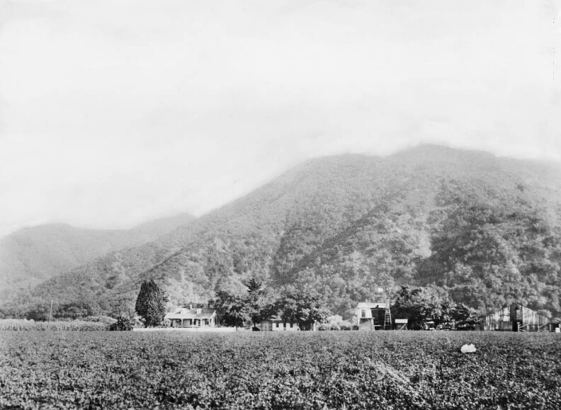 Photograph of an exterior view of Dr. David Burbank's home at Dark Canyon Pass, Burbank, ca.1910. The homestead of Dr. Burbank, who named the town, is pictured at the foot of the mountains; the cabin stands to the left of center, to the right of which the barn, a windmill, and a water tower stand. This site would later become the site of the Warner Bros. Studio.