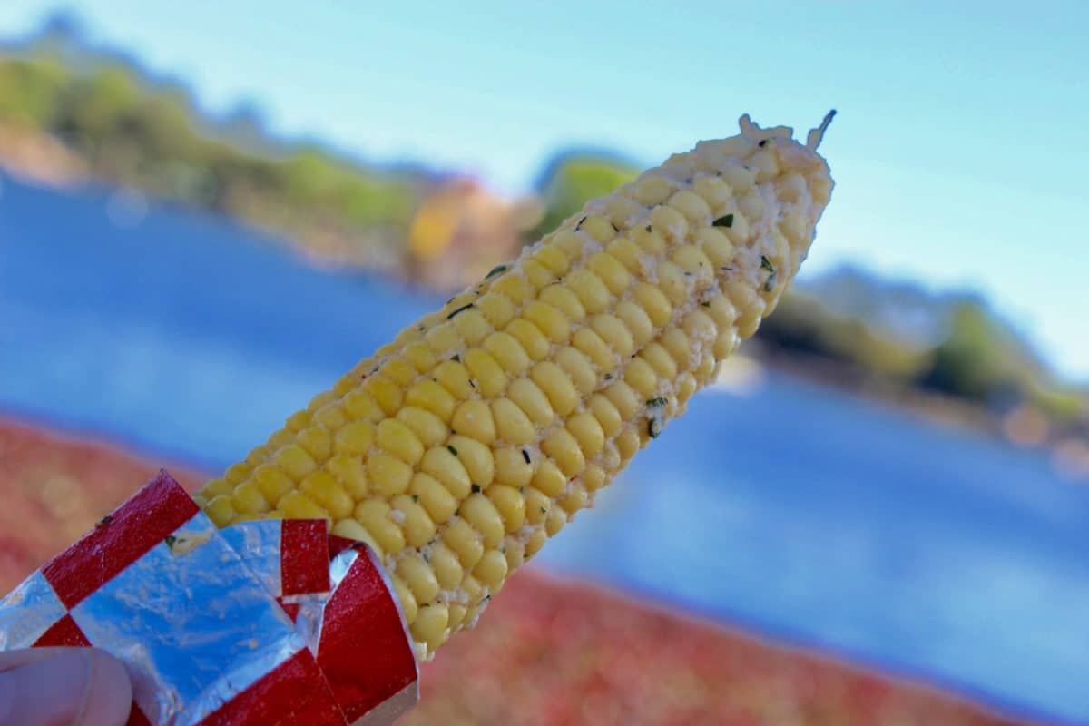 A close-up of the Grilled Street Corn on the Cob from EPCOT Farmers Feast for Garden Graze.