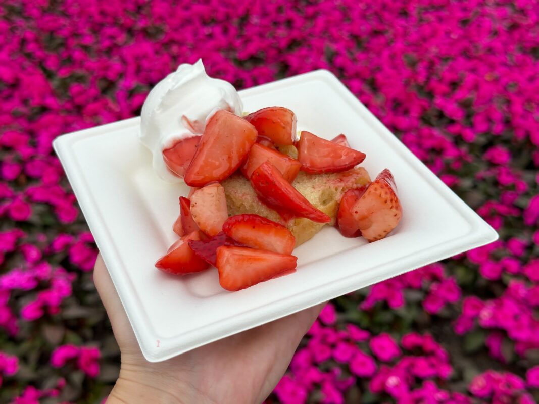 Florida Fresh Strawberry Shortcake