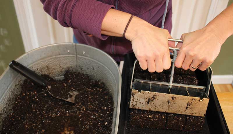 seed starting soil blocks