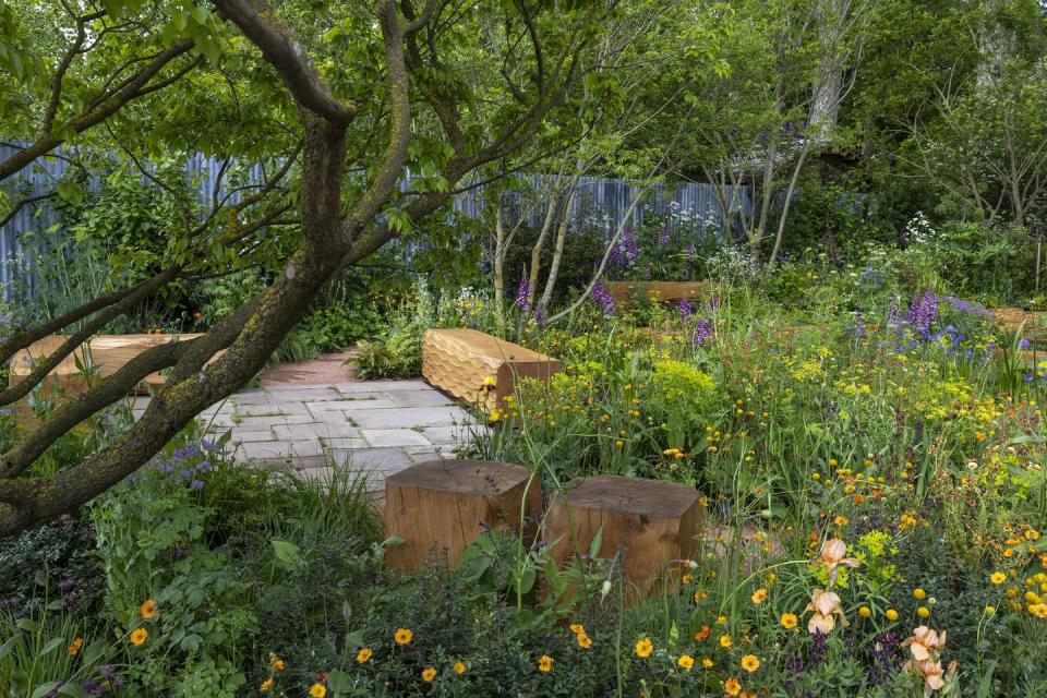 ann marie powell colourful octavia hill garden peoples choice award rhs chelsea flower show 2024