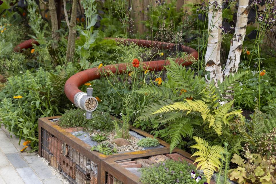 rhs chelsea flower show 2024 all about plants garden designs