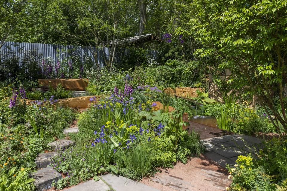 ann marie powell colourful octavia hill garden peoples choice award rhs chelsea flower show 2024