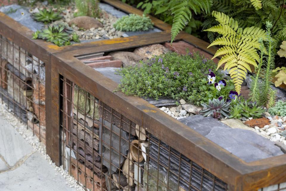 the pulp friction growing skills garden peoples choice award rhs chelsea flower show 2024