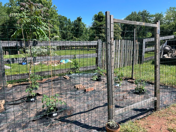 The finished gate and fence.