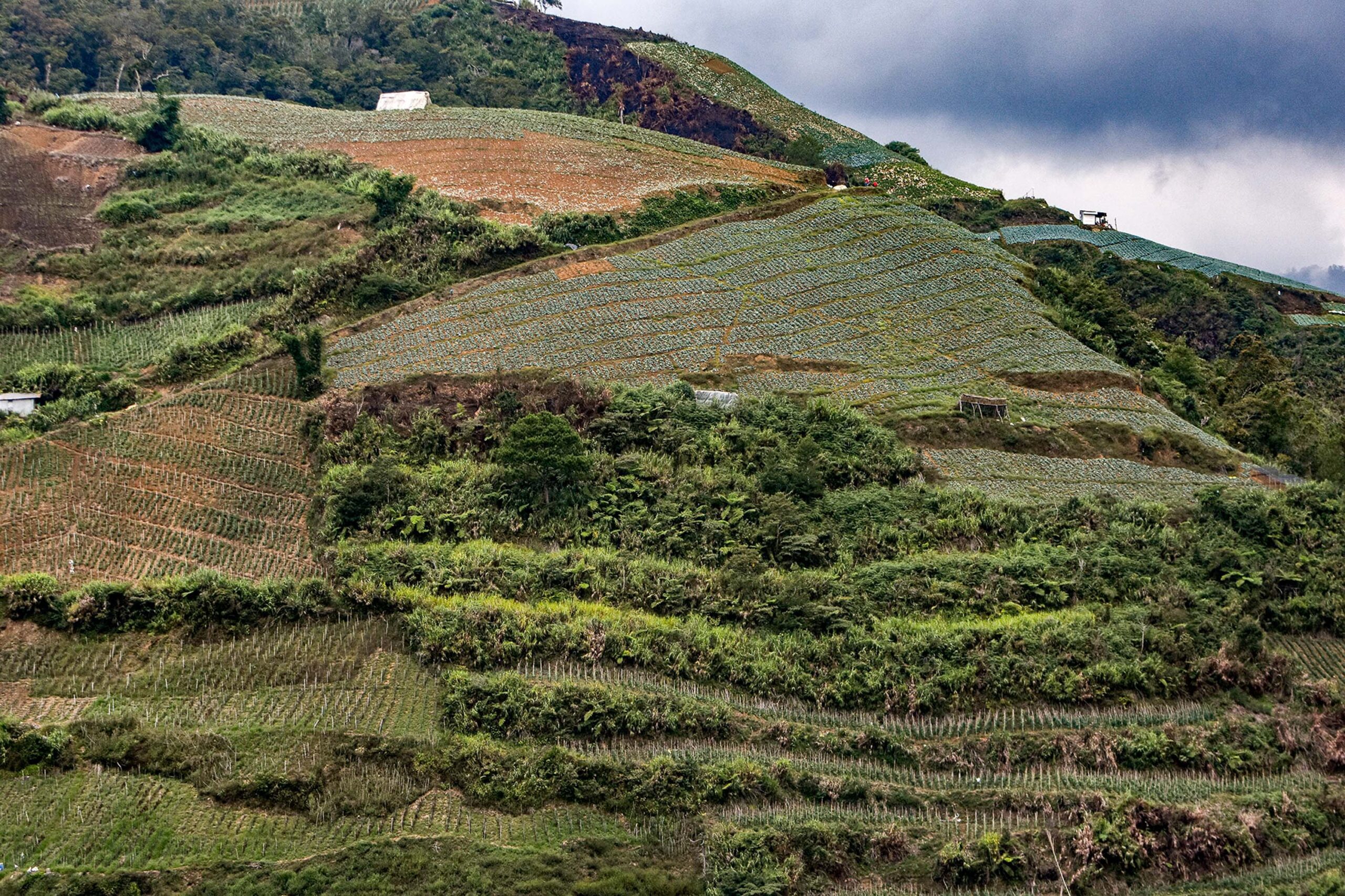 Nature, Outdoors, Slope