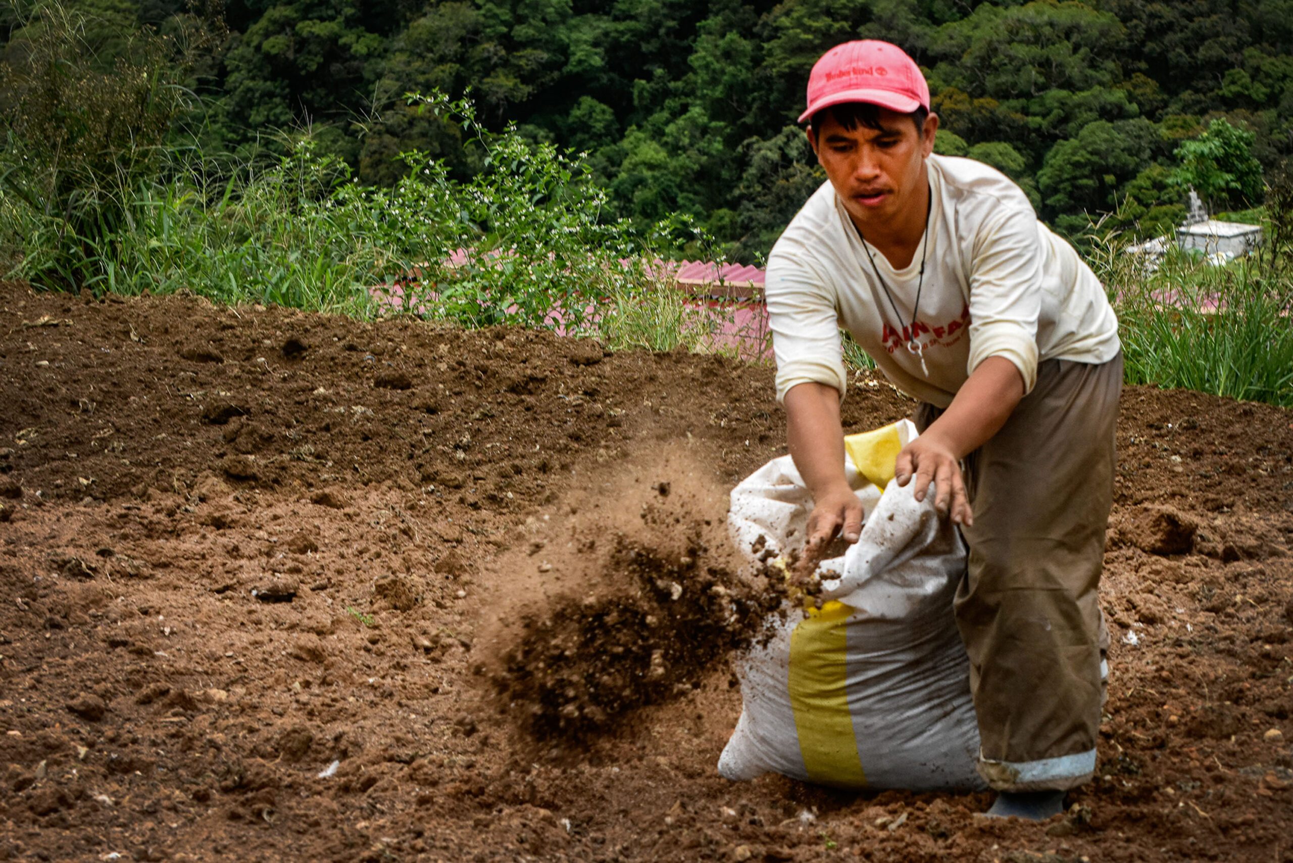 Soil, Garden, Nature