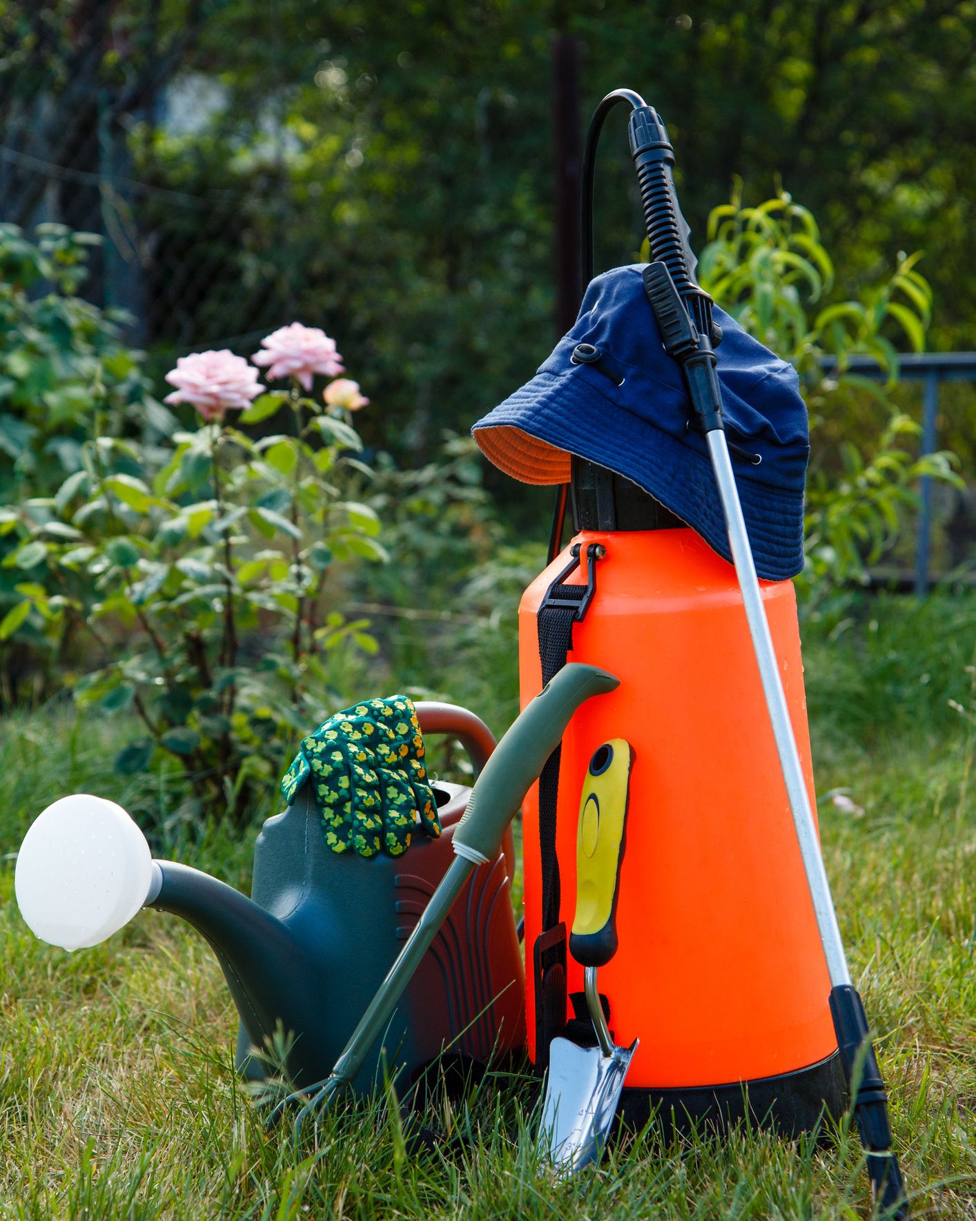 how to rewild your garden pesticide use