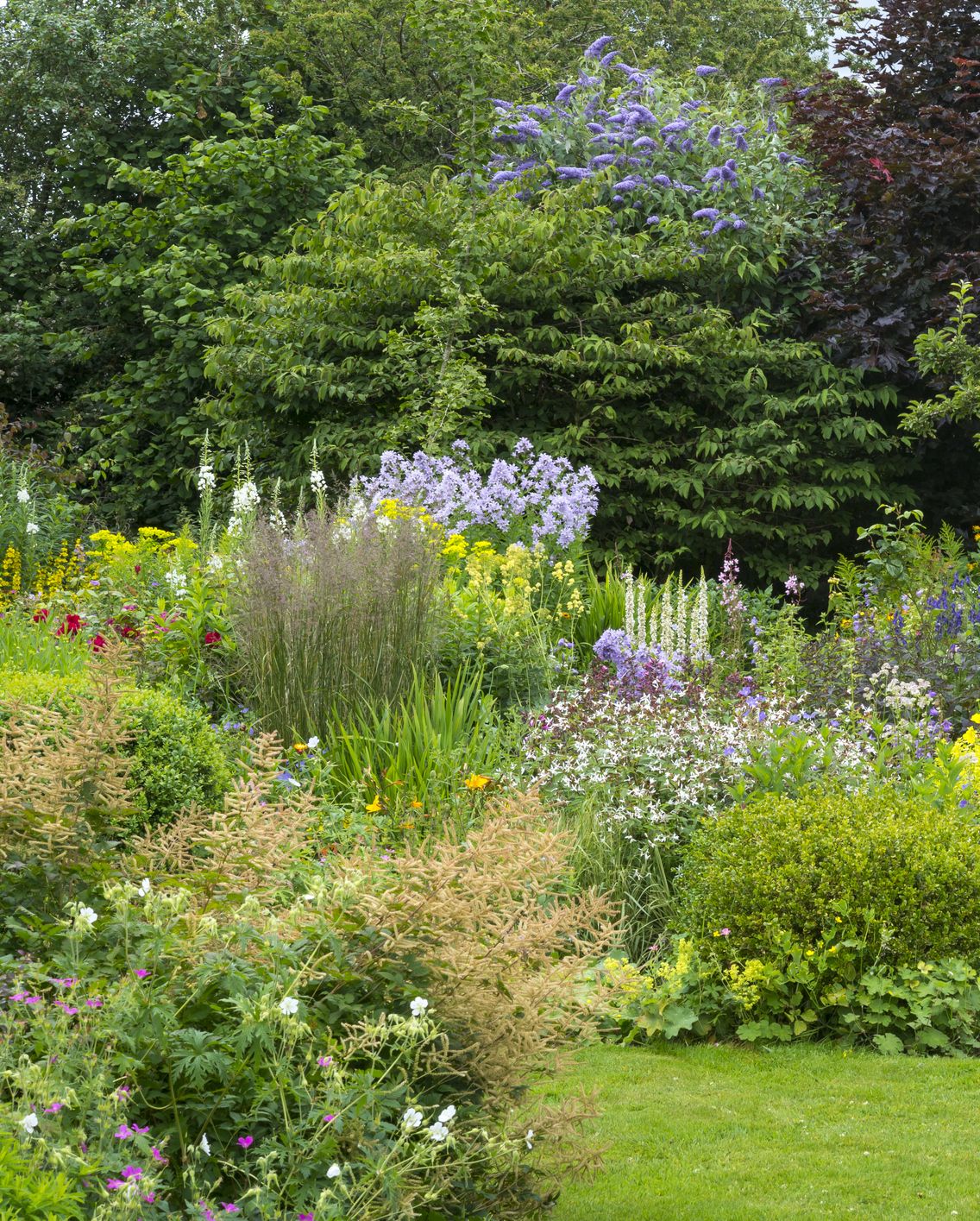 how to rewild your garden habitat