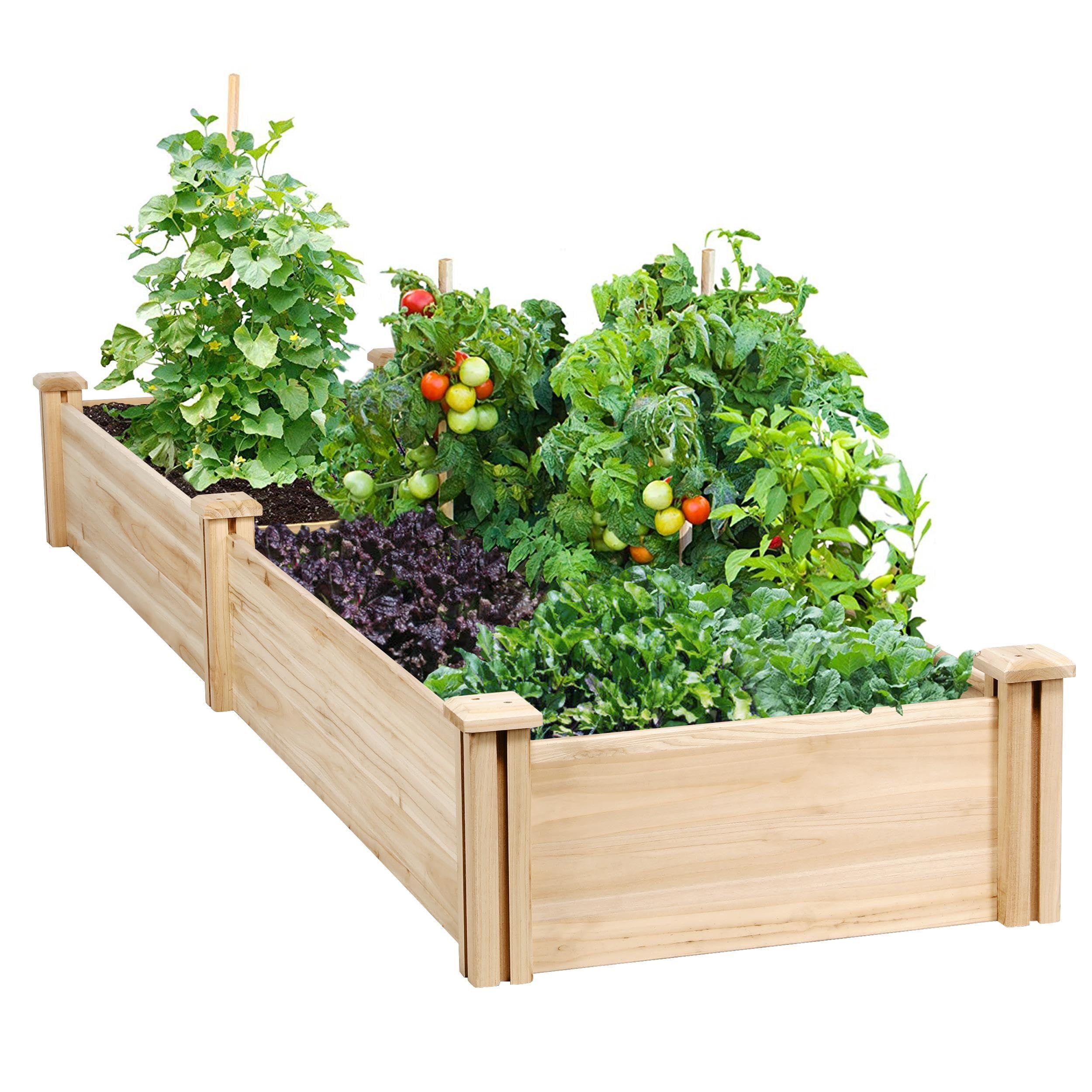 Wooden Horticulture Raised Garden Bed 