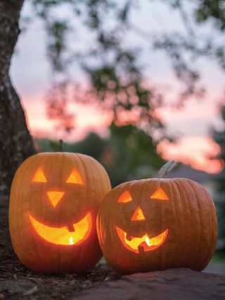 Pumpkin, Jack O Lantern