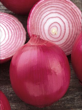 Onion, Red Creole