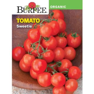 Burpee Organic Sweetie Tomato Vegetable Seed