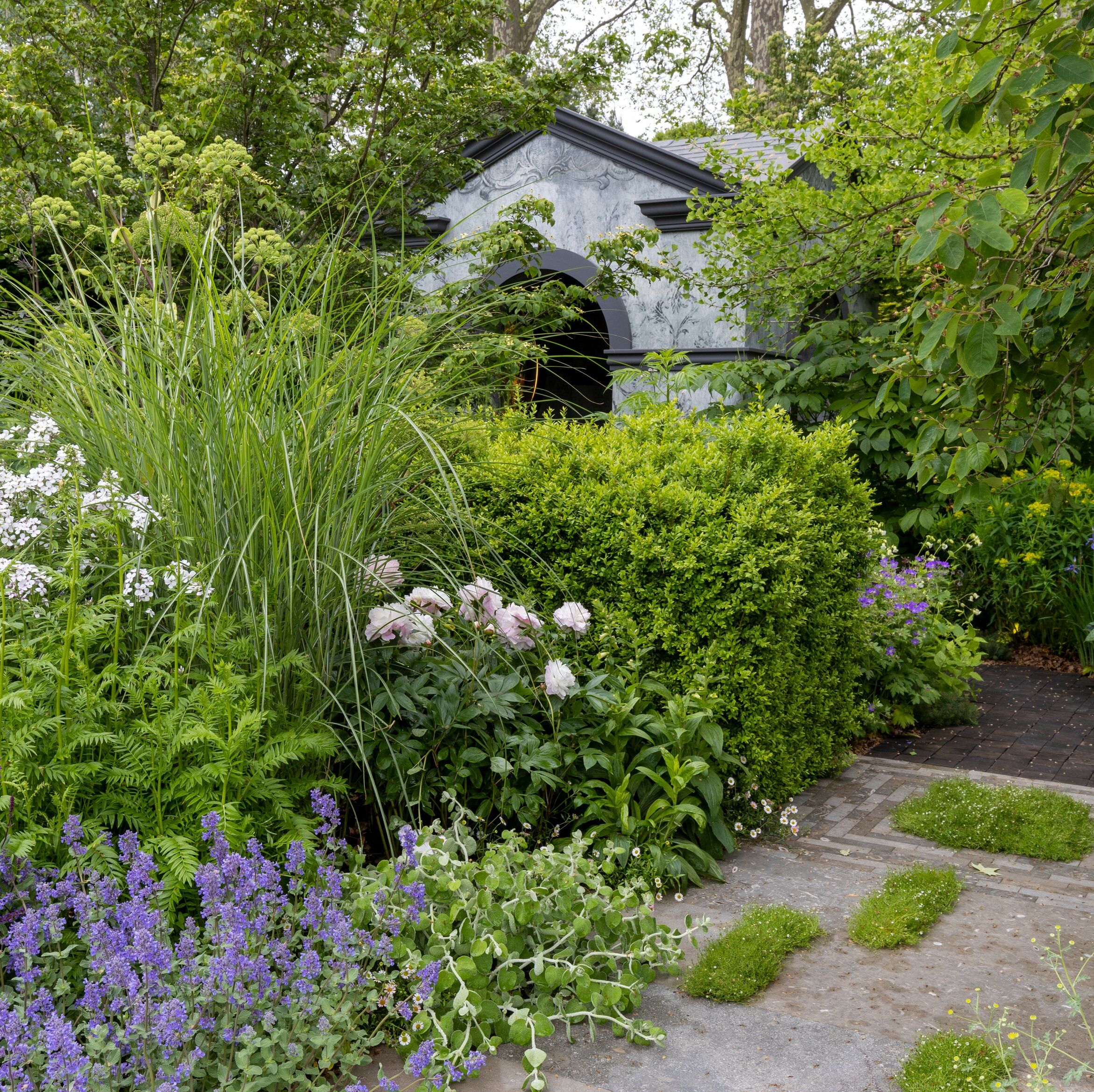 chelsea flower show 2023 chris beardshaw myeloma uk a life worth living garden