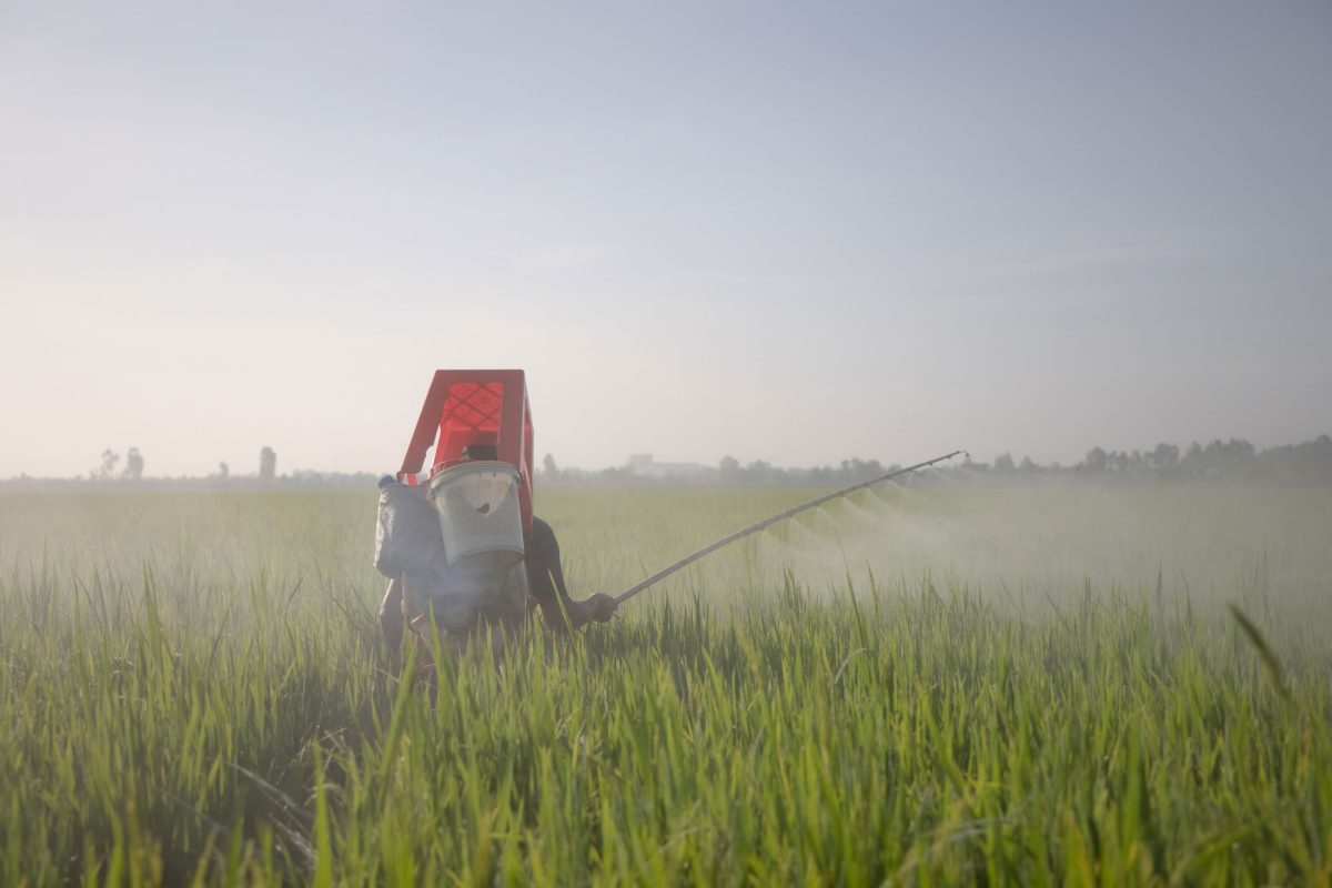 farmer spraying pesticide