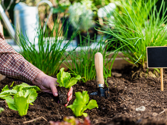 Stream harvest for health