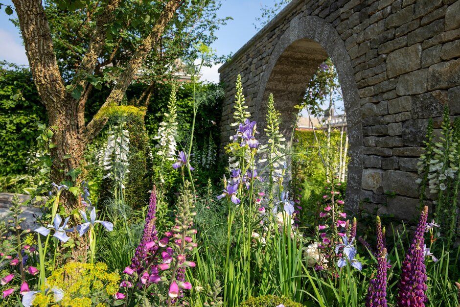 a garden with flowers and trees