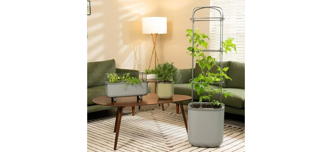 Vego Garden Self-Watering Tomato Planter