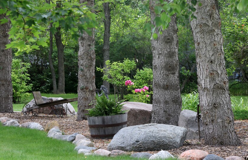 garden tour bohl trees n rocks 070924.jpg