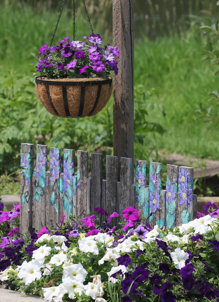 garden tour lind painted fence n flowers 070924.jpg