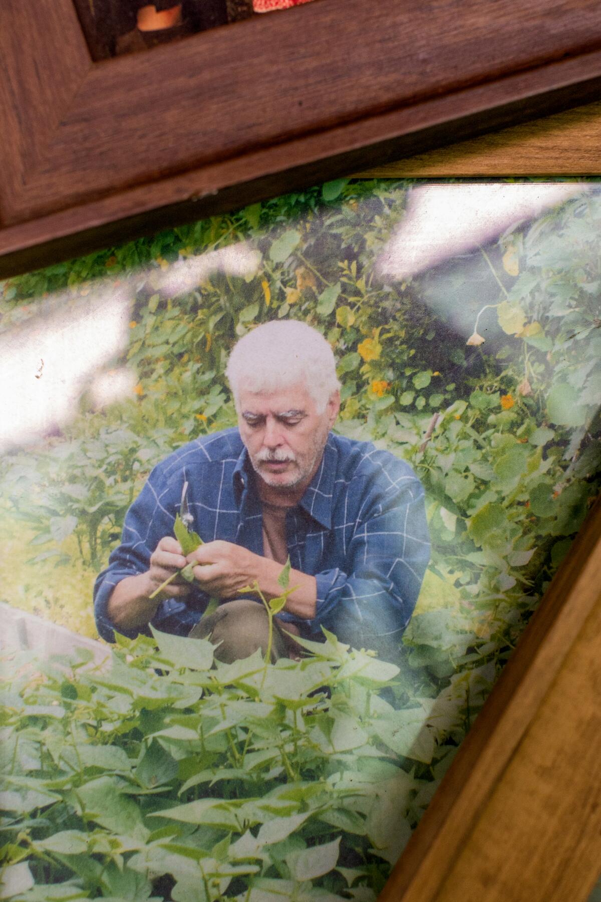 Jules Dervaes Jr. working in the farm in a denim shirt, with neatly trimmed white hair, mustache and beard. 