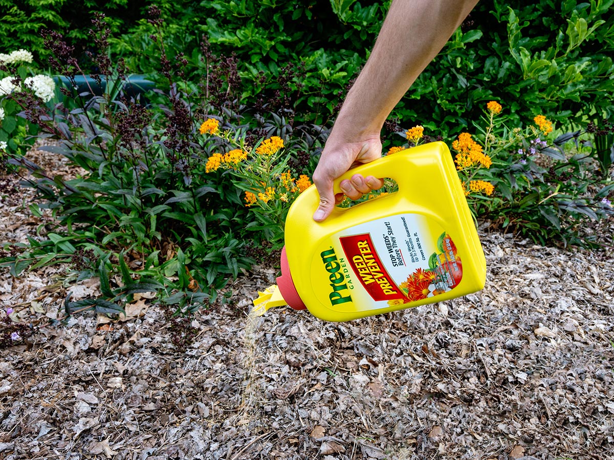 The Best Weed Killer for Flower Beds Options